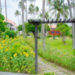 Незабываемые развлекательные мероприятия в Сенчури Муйне: Незабываемый отдых