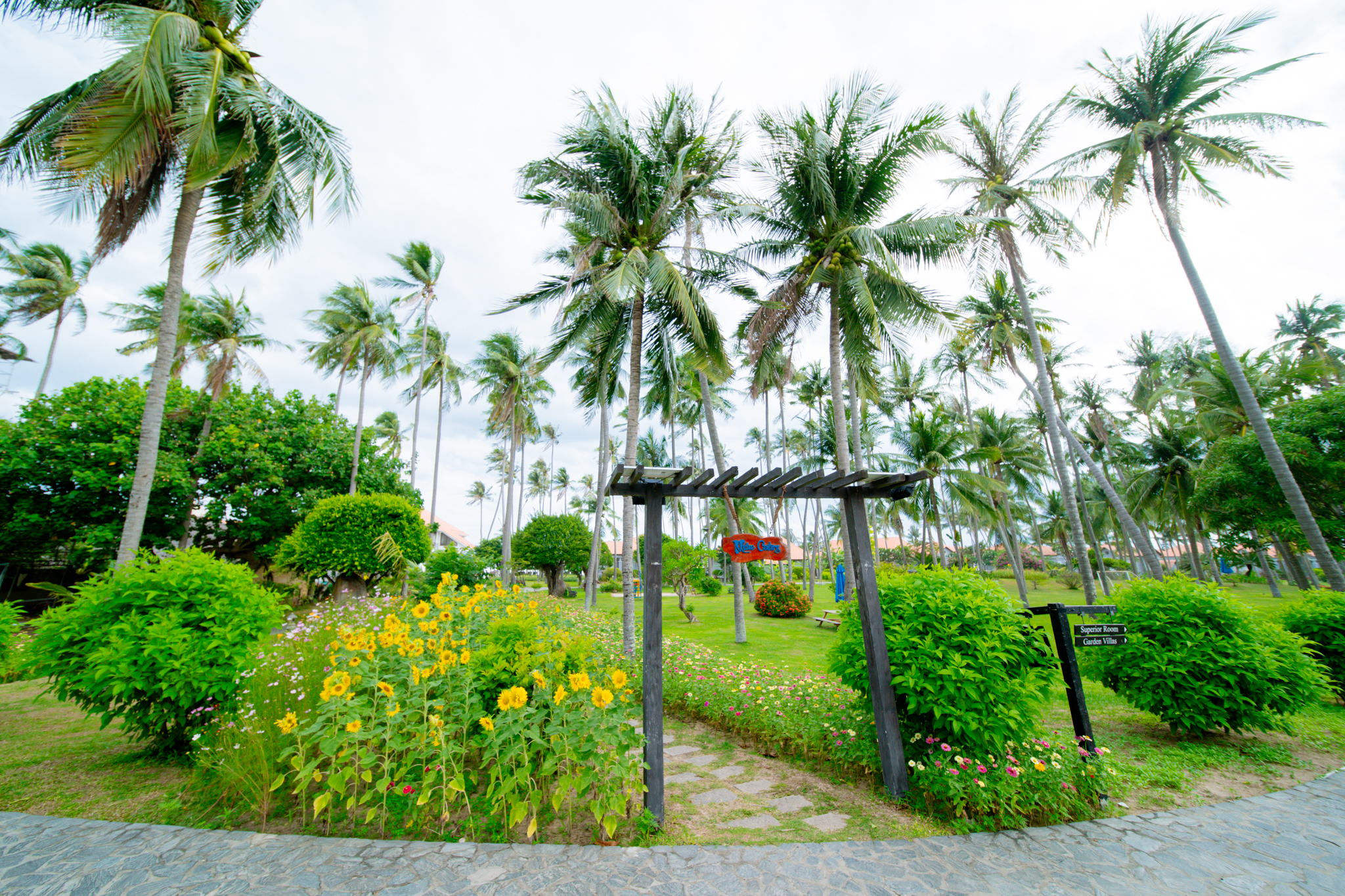 THỂ THAO & GIẢI TRÍ