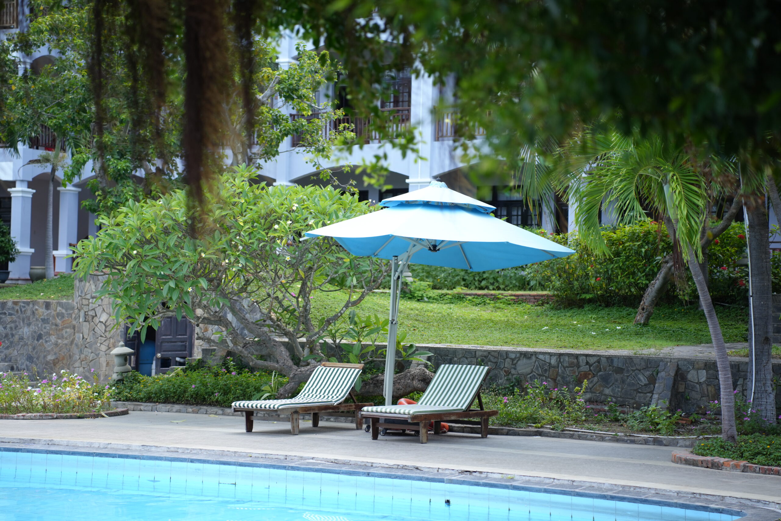 muine century beach resort - pool