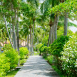 Muine Century Beach Resort: Viên Ngọc Xanh Của Mũi Né